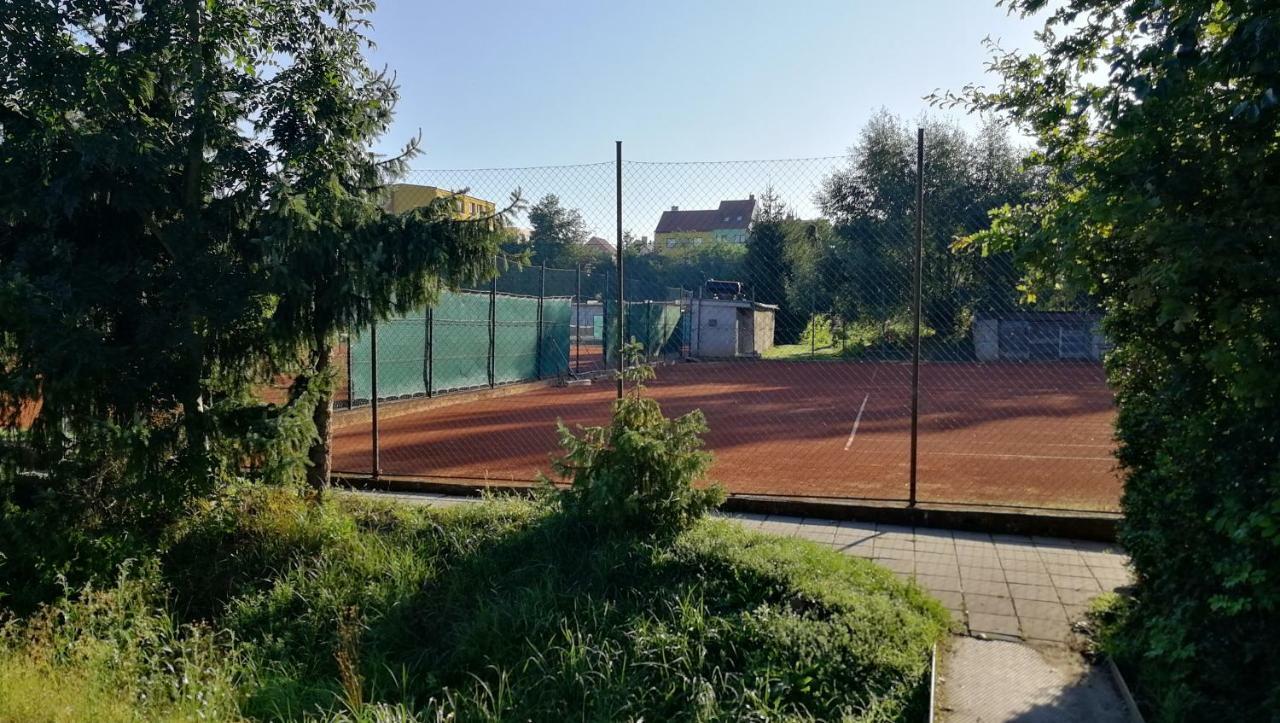 Penzion U Brázdů Ivancice Esterno foto